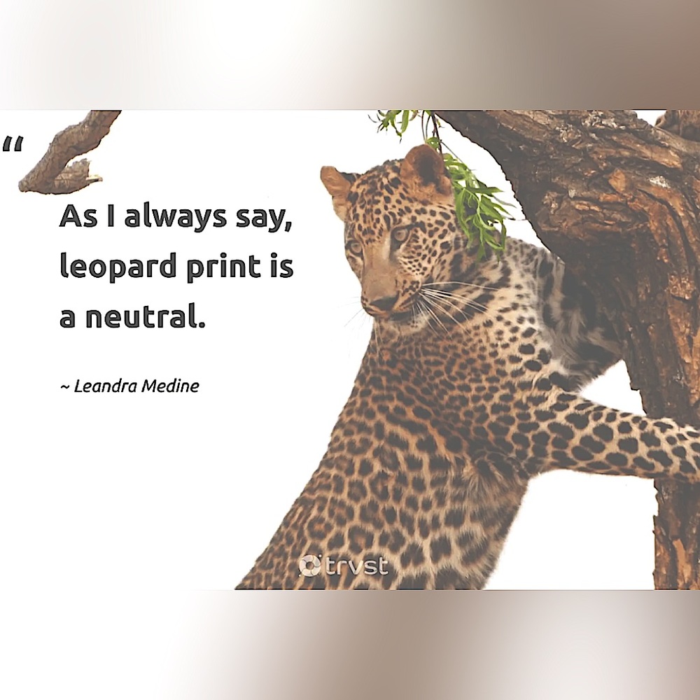 𝚏𝚛𝚎𝚎 𝚒𝚗𝚌𝚕𝚞𝚍𝚎𝚜 𝚠𝚒𝚝𝚑𝚒𝚗 𝚎𝚊𝚌𝚑 𝕒𝕟 𝚎𝚟𝚎𝚛𝚢 𝚙𝚞𝚛𝚌𝚑𝚊𝚜𝚎 - Picture 5 of 17